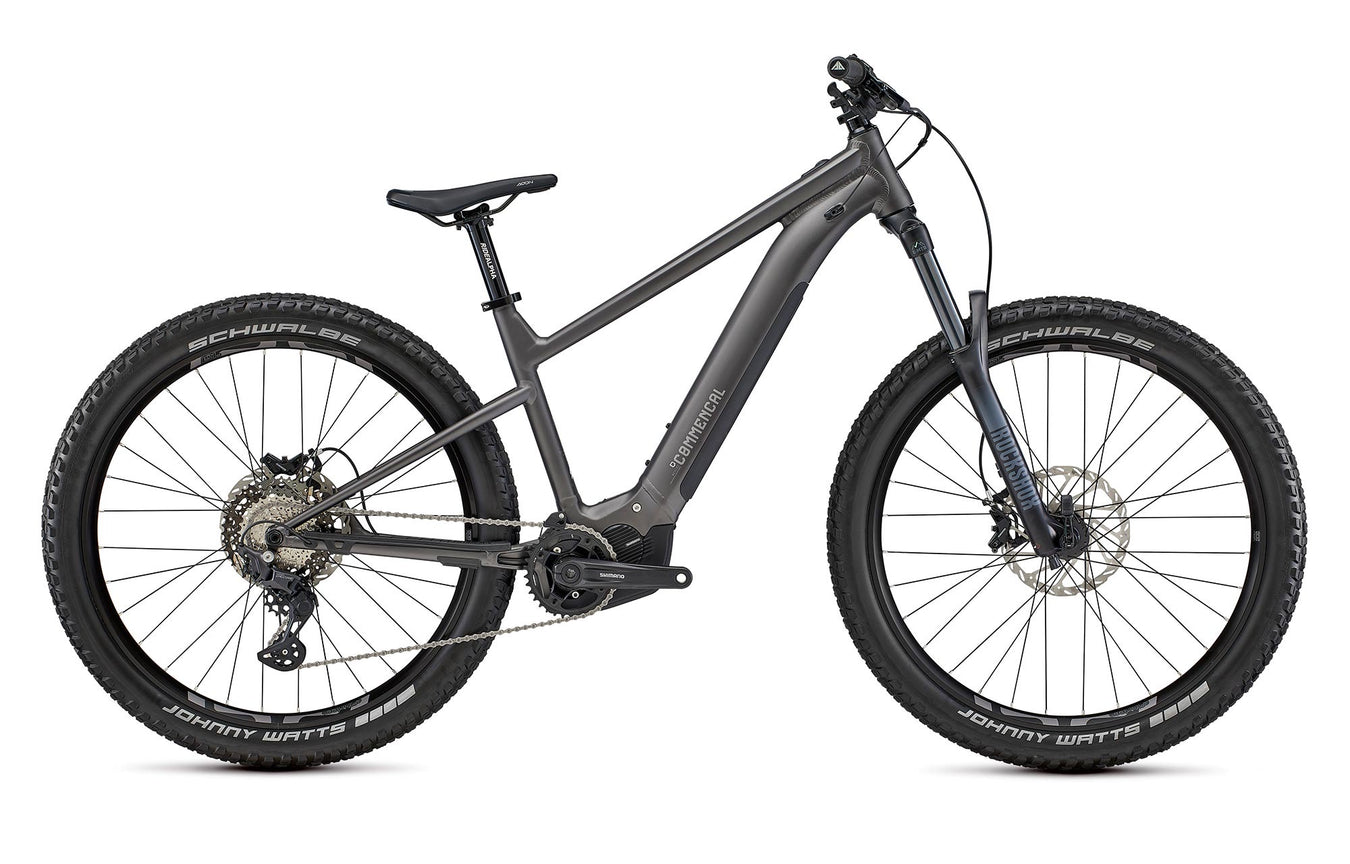 Adult Electric Bikes