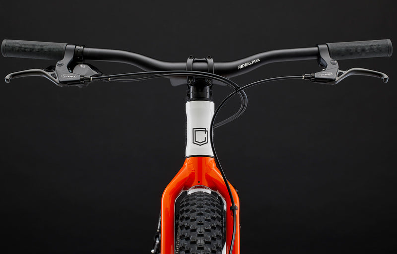 Commencal Ramones 24 Mountain Bike (7-Speed)