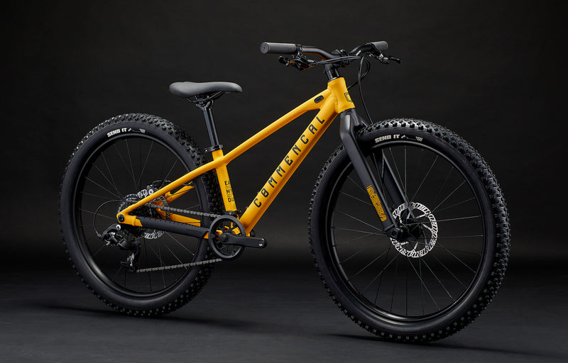 Commencal Ramones 24 Mountain Bike (7-Speed)