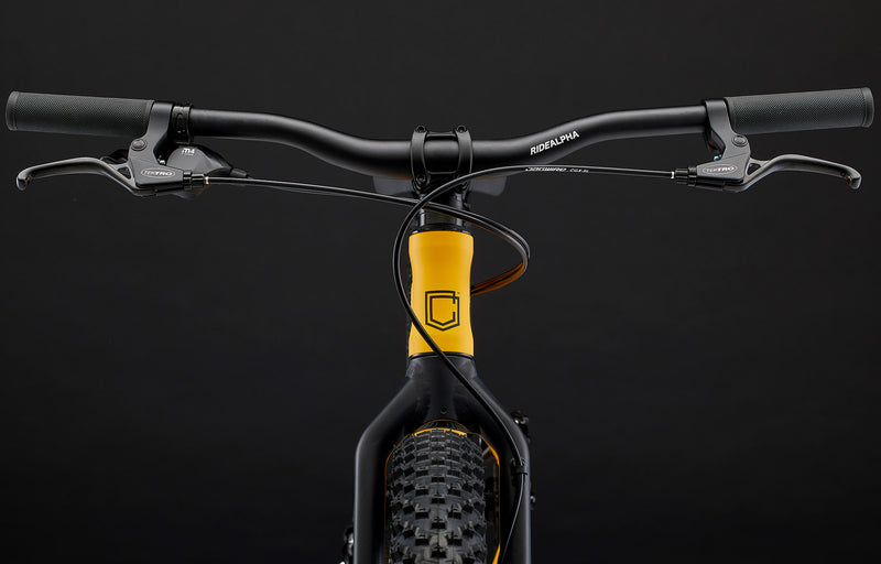 Commencal Ramones 24 Mountain Bike (7-Speed)