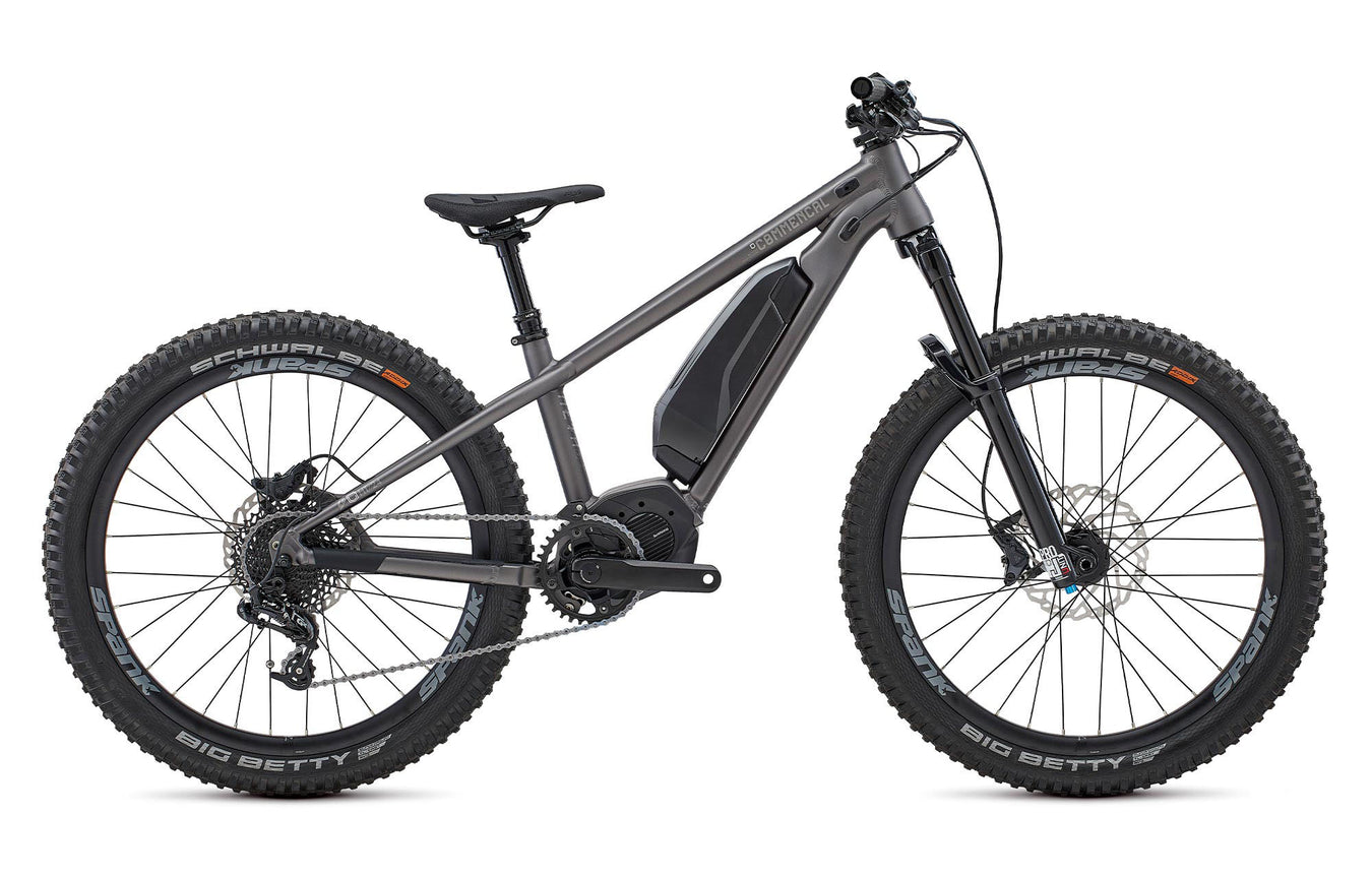 Electric Bikes